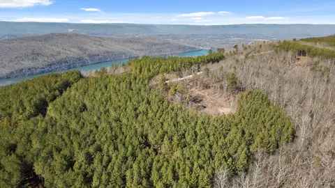 0 Wildlife Way, Guild, TN 37340 photo 31