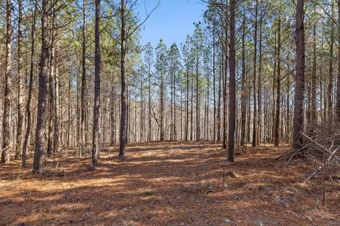 0 Wildlife Way, Guild, TN 37340 photo 13