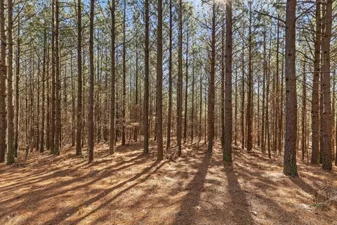 0 Wildlife Way, Guild, TN 37340 photo 24