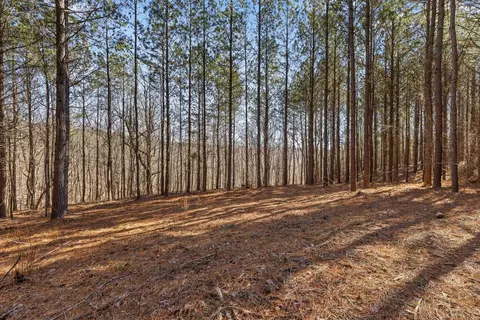 0 Wildlife Way, Guild, TN 37340 photo 2