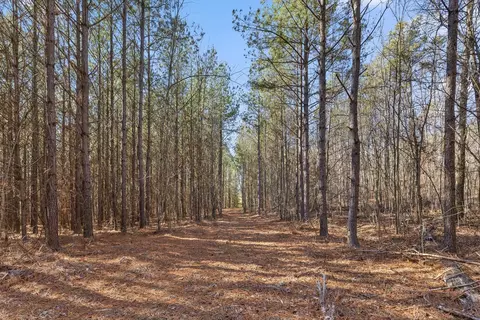 0 Wildlife Way, Guild, TN 37340 photo 5