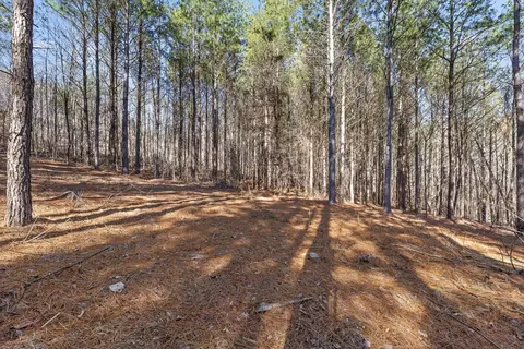 0 Wildlife Way, Guild, TN 37340 photo 29