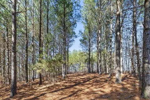 0 Wildlife Way, Guild, TN 37340 photo 6