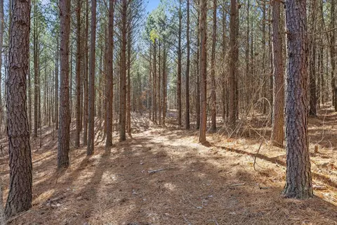 0 Wildlife Way, Guild, TN 37340 photo 3