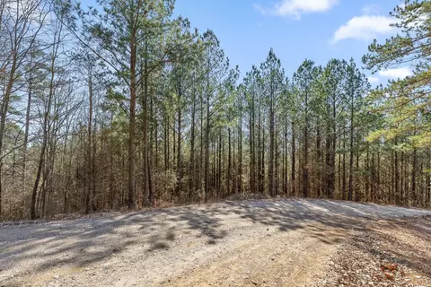 0 Wildlife Way, Guild, TN 37340 photo 7