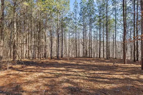 0 Wildlife Way, Guild, TN 37340 photo 14