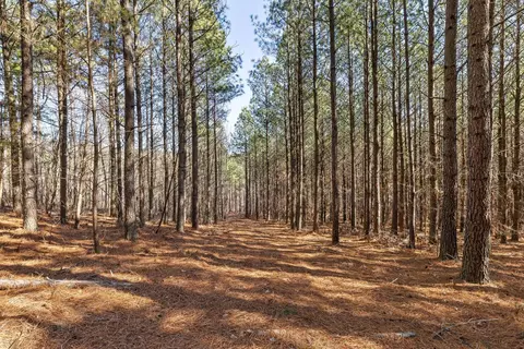 0 Wildlife Way, Guild, TN 37340 photo 12