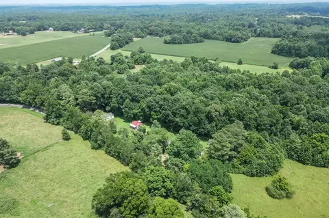 View/Area - 269 Pleasant Ridge Rd, Goodspring, TN 38460 photo 3 of 4