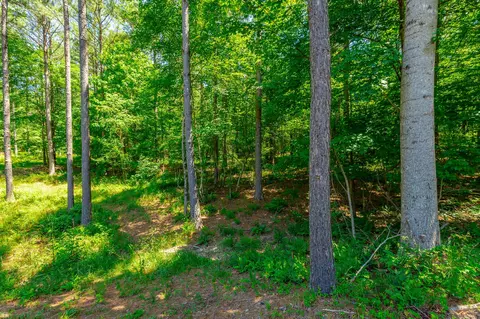 0 Split Rail Way, Guild, TN 37340 photo 9