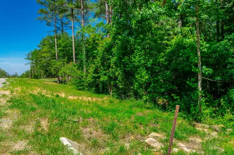 0 Split Rail Way, Guild, TN 37340 photo 5