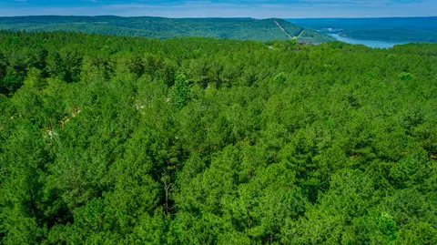 0 Split Rail Way, Guild, TN 37340 photo 50
