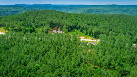 0 Split Rail Way, Guild, TN 37340 photo 40