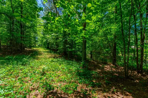 0 Split Rail Way, Guild, TN 37340 photo 11
