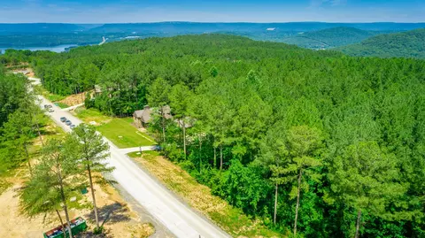 0 Split Rail Way, Guild, TN 37340 photo 45