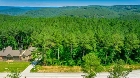 0 Split Rail Way, Guild, TN 37340 photo 44