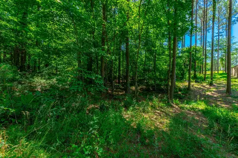 0 Split Rail Way, Guild, TN 37340 photo 10