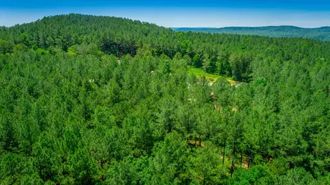 0 Split Rail Way, Guild, TN 37340 photo 52