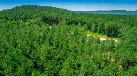 0 Split Rail Way, Guild, TN 37340 photo 51