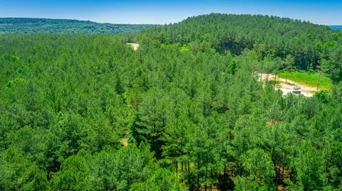 0 Split Rail Way, Guild, TN 37340 photo 53