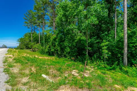 0 Split Rail Way, Guild, TN 37340 photo 4