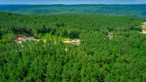 0 Split Rail Way, Guild, TN 37340 photo 39