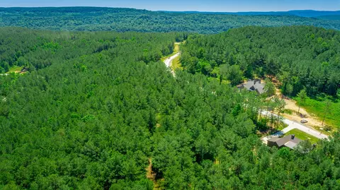 0 Split Rail Way, Guild, TN 37340 photo 41