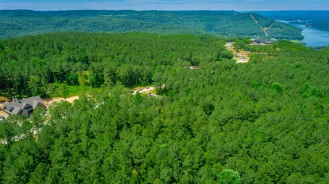 0 Split Rail Way, Guild, TN 37340 photo 38