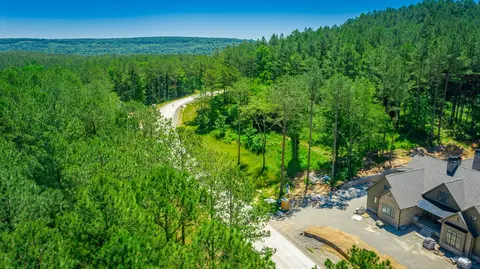 0 Split Rail Way, Guild, TN 37340 photo 59