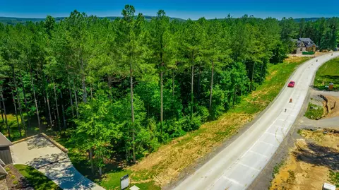 0 Split Rail Way, Guild, TN 37340 photo 61