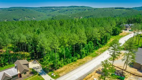 0 Split Rail Way, Guild, TN 37340 photo 43