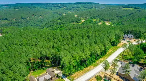 0 Split Rail Way, Guild, TN 37340 photo 32