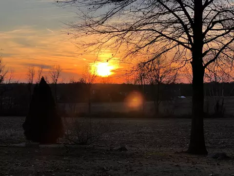 Other - 758 N Main St, Dyer, TN 38330 photo 9 of 10