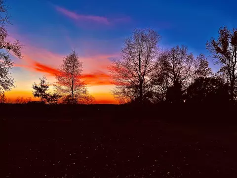 Other - 758 N Main St, Dyer, TN 38330 photo 10 of 10