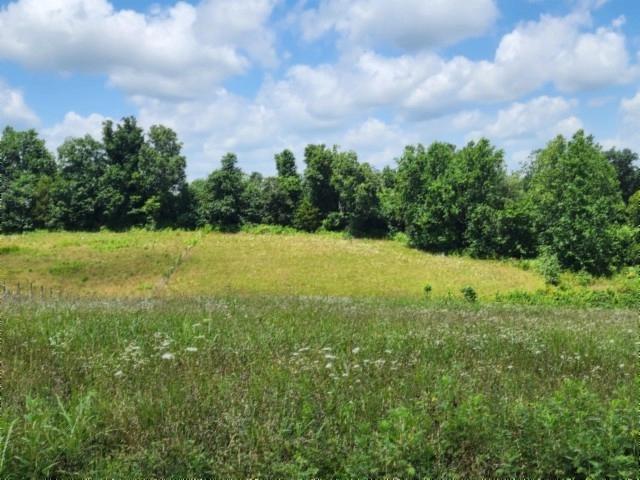 0 Rose Hill Rd, Red Boiling Springs, TN 37150