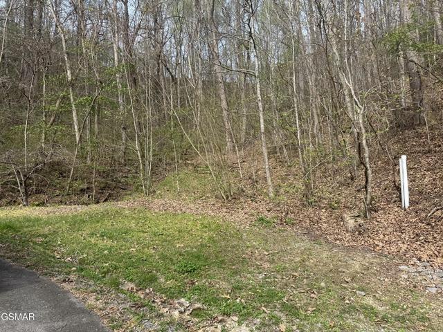 12 Whetstone Rd, Sevierville, TN 37862