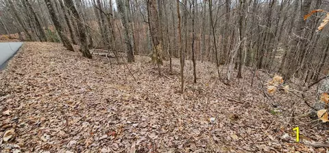 2225 King Hollow Rd, Sevierville, TN 37876