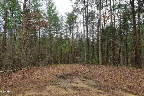 23 Alpine Ridge Way, Sevierville, TN 37876