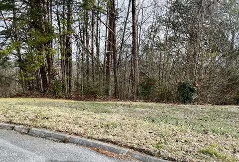 26 Blue Dun Ct, Pigeon Forge, TN 37863