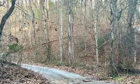 6 Spotted Fawn Way, Sevierville, TN 37876