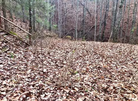 4159 Chamberlain Ln, Sevierville, TN 37862