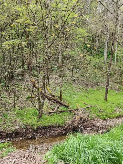 8 Hidden Hollow Way, Sevierville, TN 37876