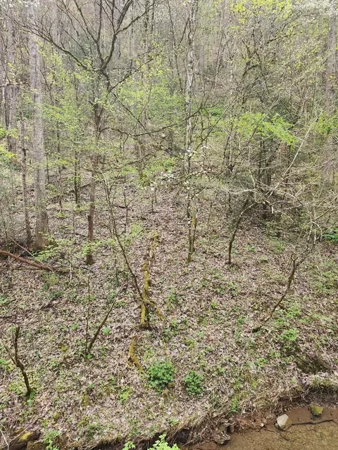 7 Hidden Hollow Way, Sevierville, TN 37876