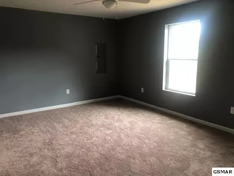 414 Dee Dee Ct, White Pine, TN 37890 photo 6