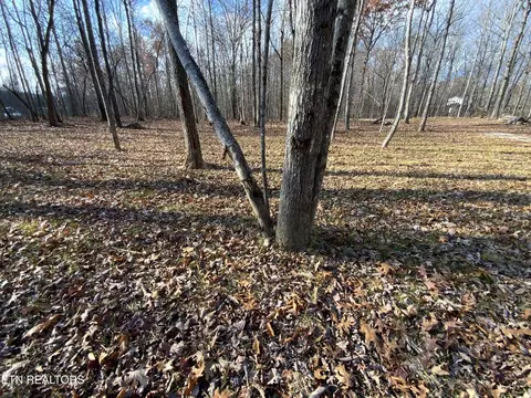 436 Pilot Mountain Rd, Lancing, TN 37770 photo 20