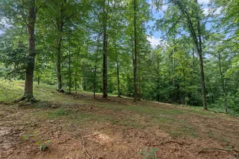 Exterior - 7922 E Plunders Creek Rd, Dickson, TN 37055 photo 16 of 16