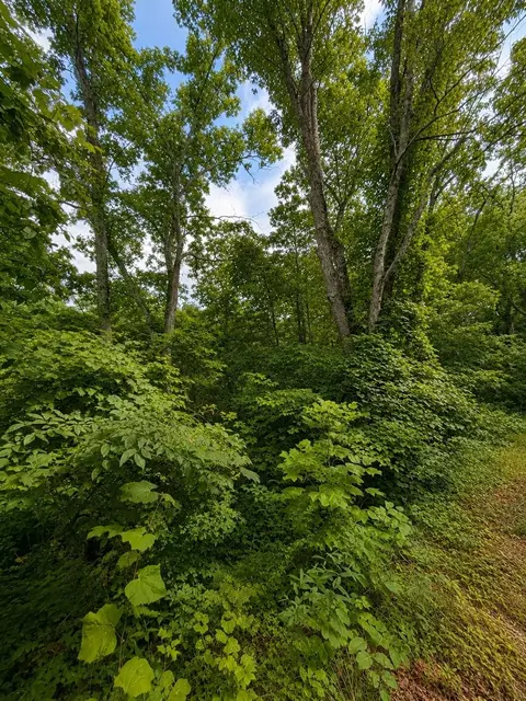 0 Skyline Dr, Smithville, TN 37166