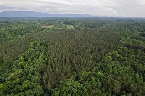 0 County Road 966, Calhoun, TN 37309