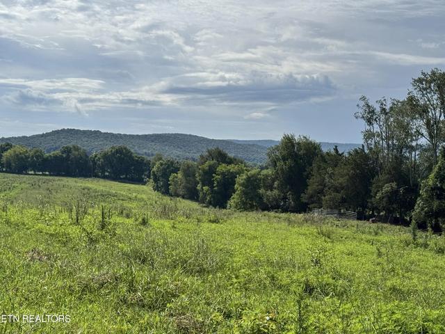 0 Collier Ln, Rock Island, TN 38581