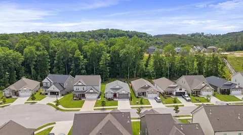 3561 Haystack Ln, Apison, TN 37302 photo 38