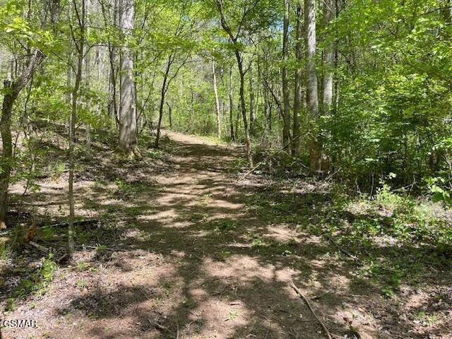 0 Jason Pl Jones Cove Rd -off, Sevierville, TN 37876